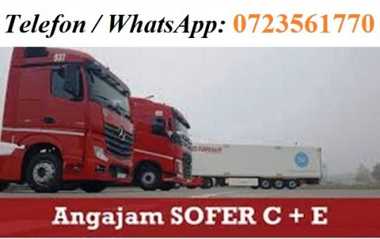 Angajari sofer 0723561770