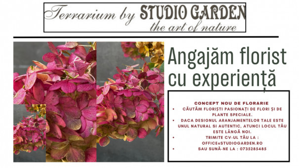 Studio Garden
