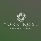 York Rose